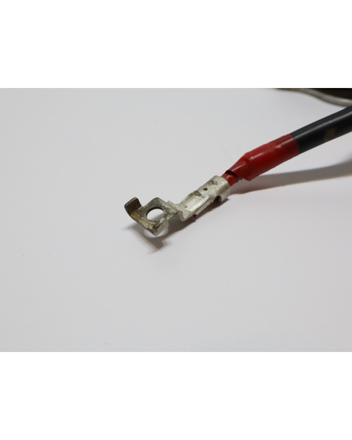 Honda CRF300RX, startrelä