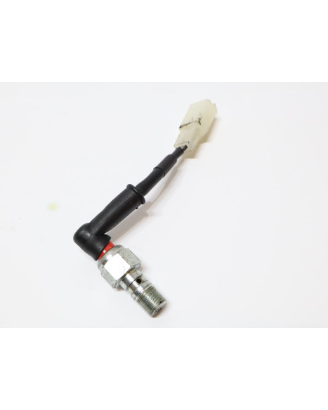 KTM 690 SMC, bromsljuskontakt bak