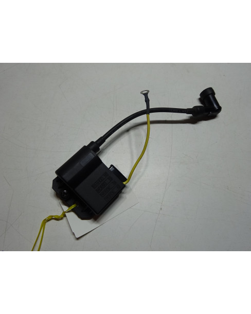 CDI/ECU (okänd variant)