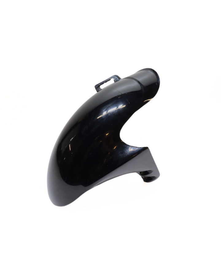 Derbi GP1, framskärm