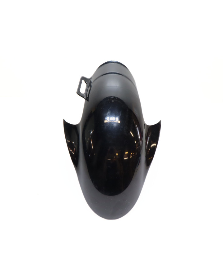 Derbi GP1, framskärm