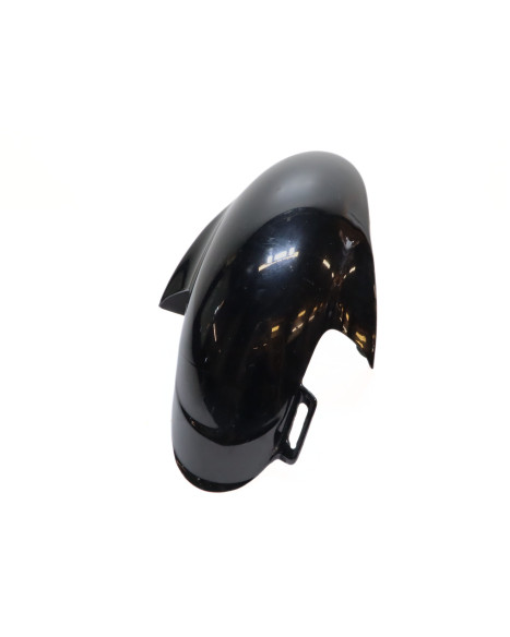 Derbi GP1, framskärm