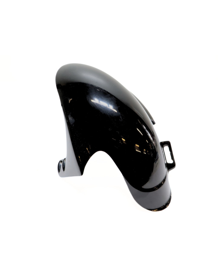 Derbi GP1, framskärm