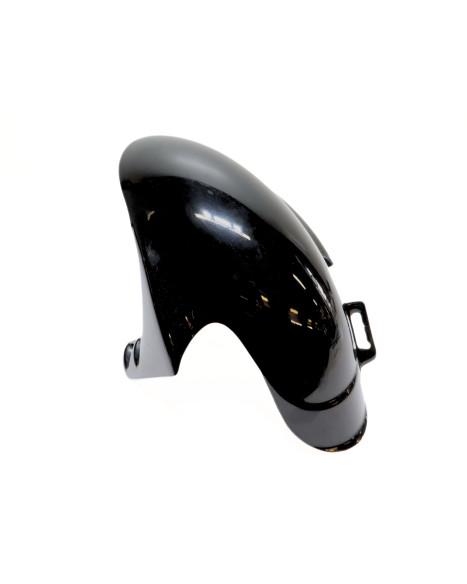 Derbi GP1, framskärm