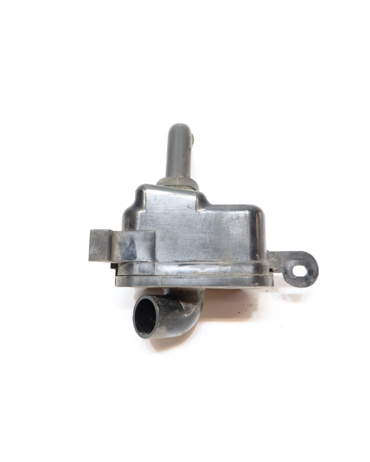 Yamaha XVS 1100A Dragstar, evap/canister