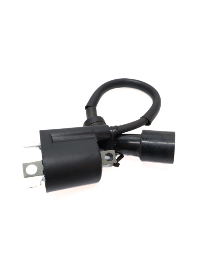 Yamaha Aerox/Neos, tändspole