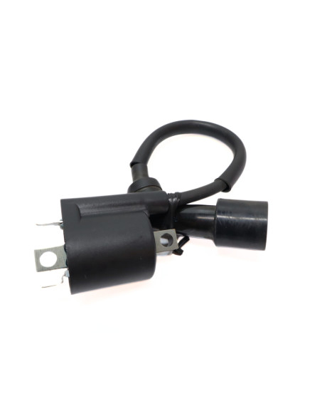 Yamaha Aerox/Neos, tändspole