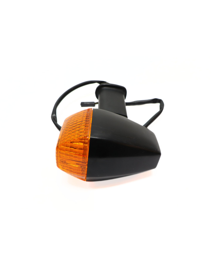 Kawasaki ER-5, blinkers höger bak