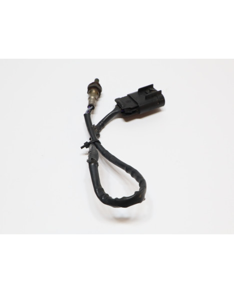 Indian Scout, lambdasond