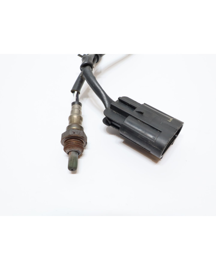 Indian Scout, lambdasond