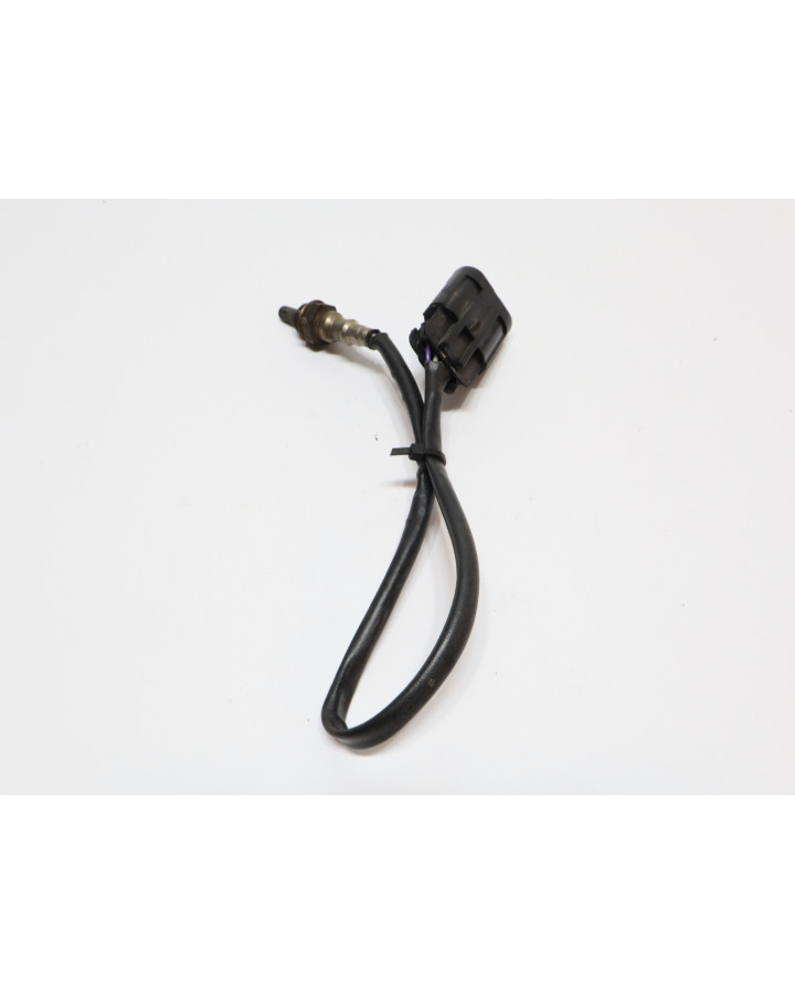 Indian Scout, lambdasond