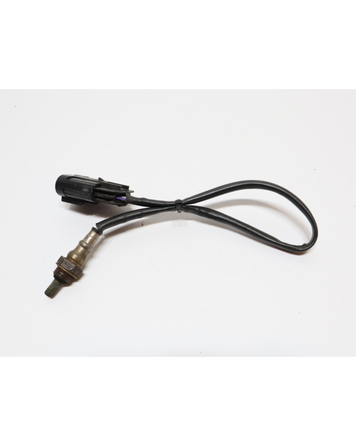 Indian Scout, lambdasond