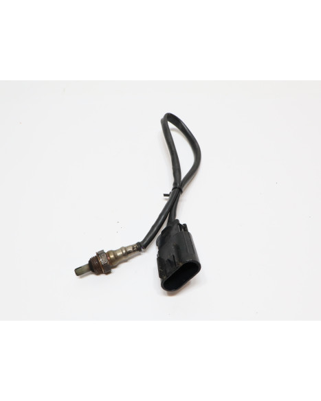 Indian Scout, lambdasond