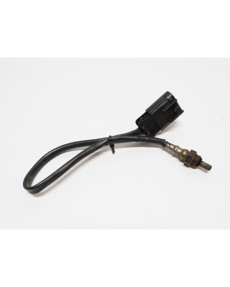 Indian Scout, lambdasond