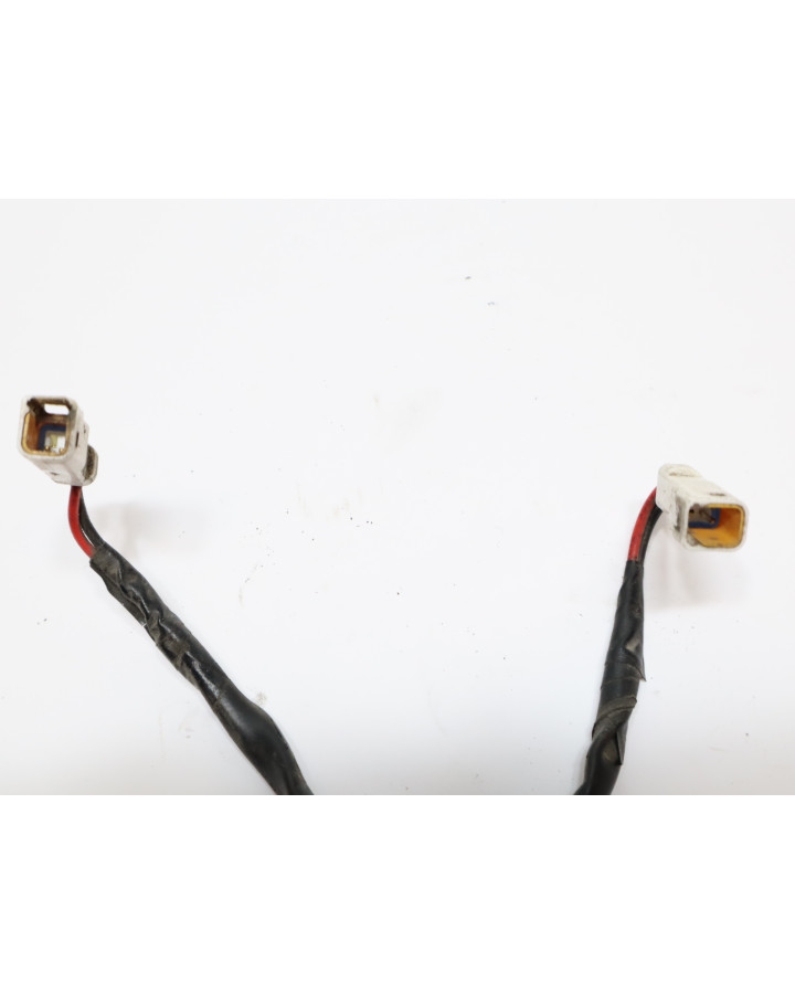 Indian Scout, blinkers bak (par)