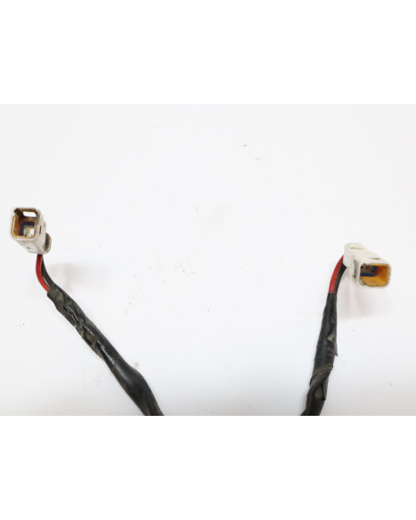 Indian Scout, blinkers bak (par)