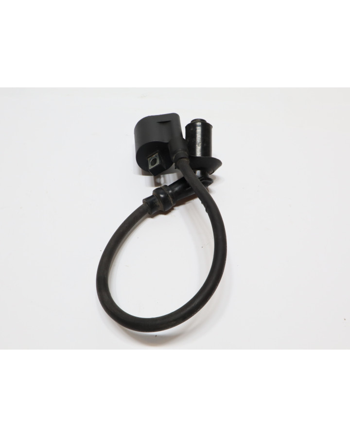 Kymco Agility, tändspole