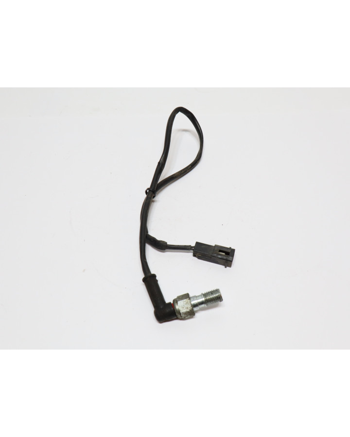 Indian Scout, bromsljuskontakt bak