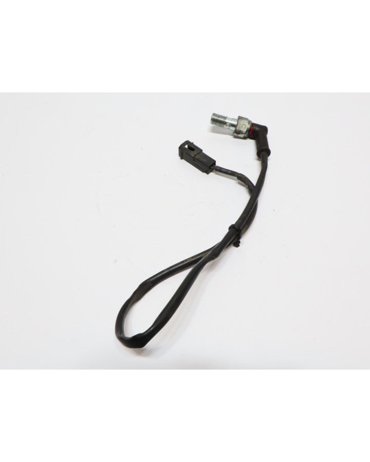 Indian Scout, bromsljuskontakt bak