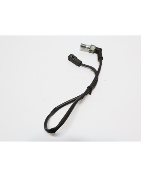 Indian Scout, bromsljuskontakt bak