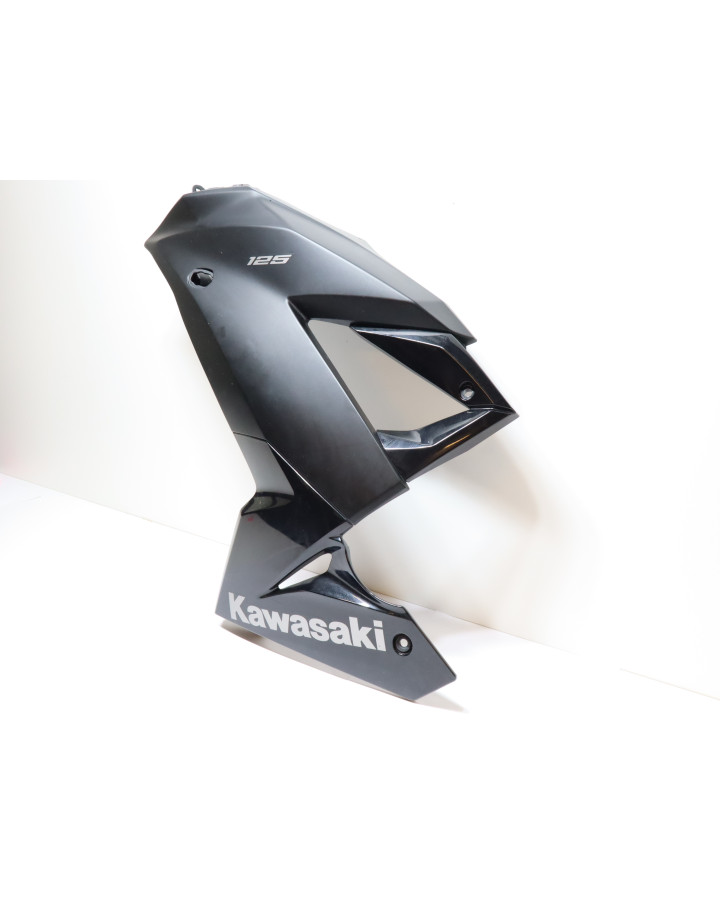 Kawasaki Ninja 125, sidokåpa vänster