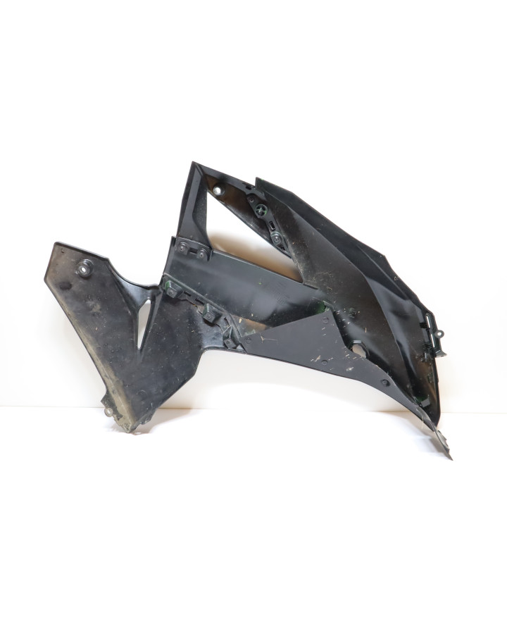 Kawasaki Ninja 125, sidokåpa vänster