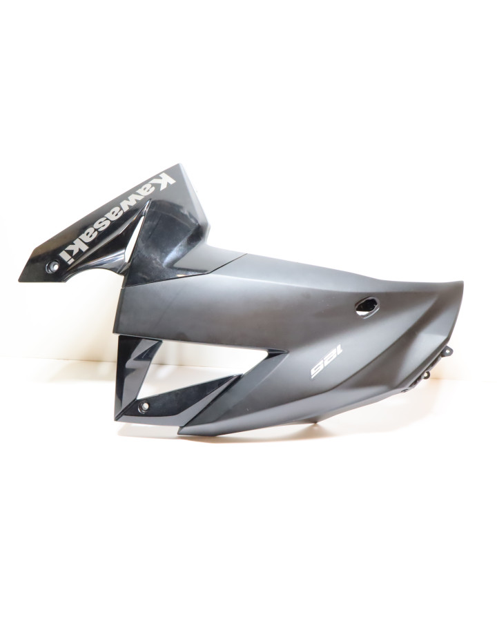 Kawasaki Ninja 125, sidokåpa vänster