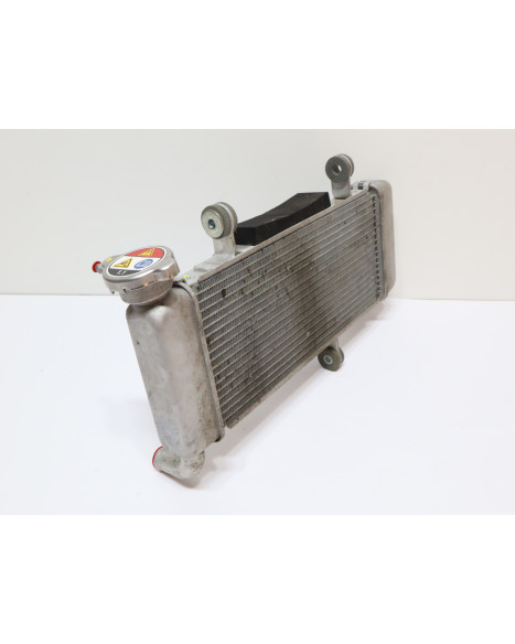 Kawasaki Ninja 125, kylare