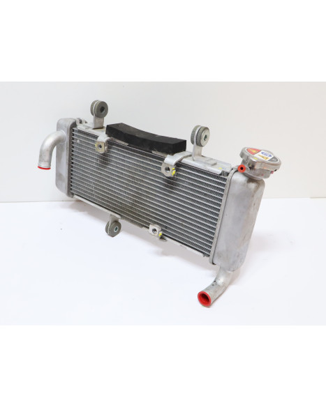 Kawasaki Ninja 125, kylare