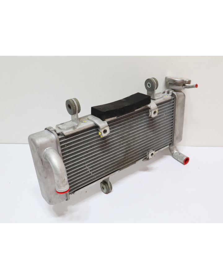 Kawasaki Ninja 125, kylare