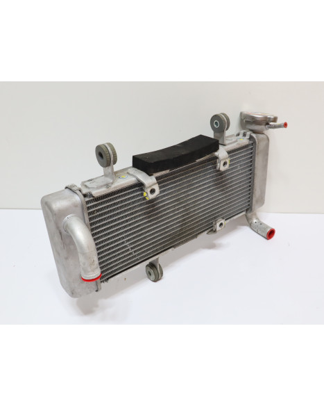 Kawasaki Ninja 125, kylare