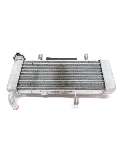 Kawasaki Ninja 125, kylare