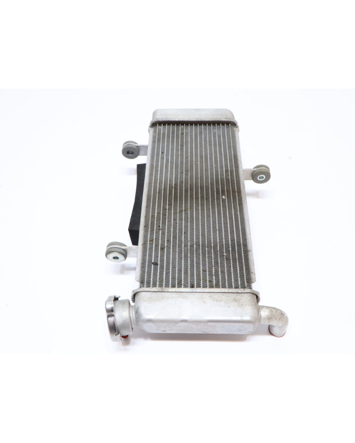 Kawasaki Ninja 125, kylare