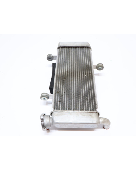 Kawasaki Ninja 125, kylare