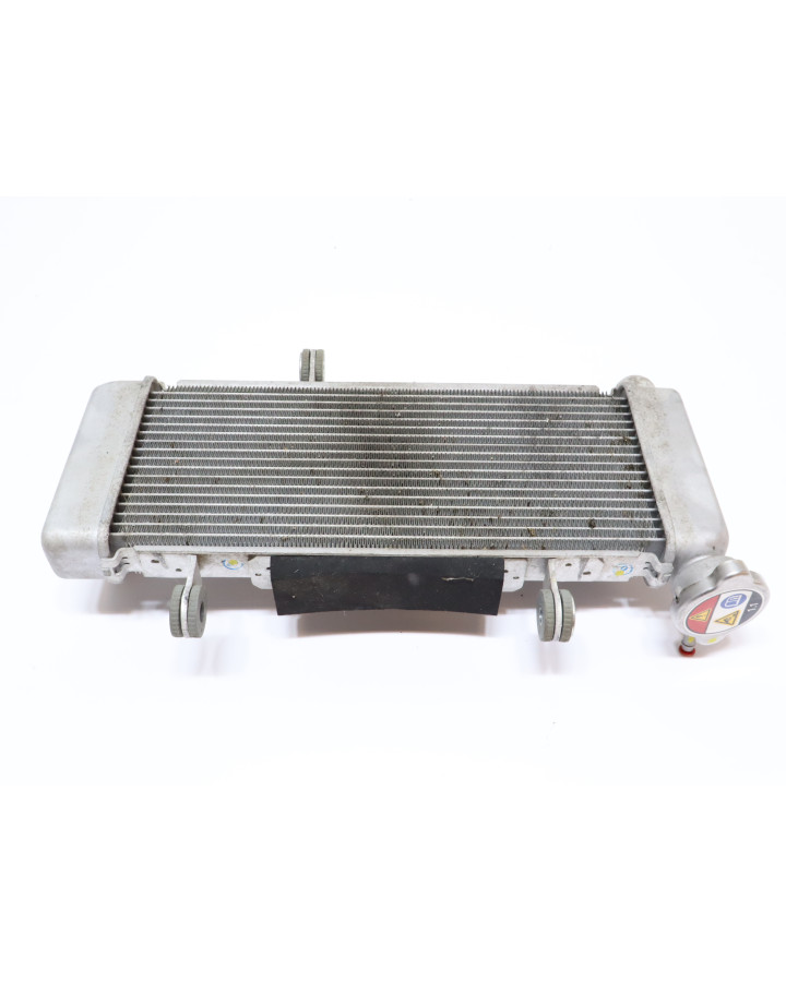 Kawasaki Ninja 125, kylare