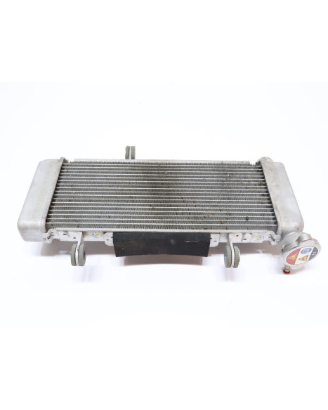 Kawasaki Ninja 125, kylare