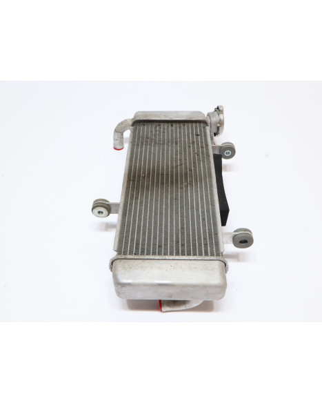 Kawasaki Ninja 125, kylare