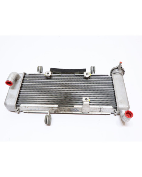 Kawasaki Ninja 125, kylare