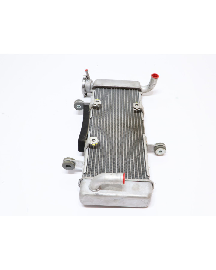 Kawasaki Ninja 125, kylare