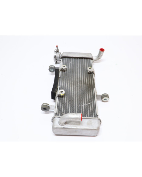 Kawasaki Ninja 125, kylare