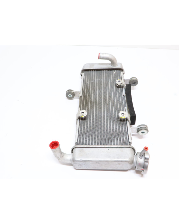 Kawasaki Ninja 125, kylare