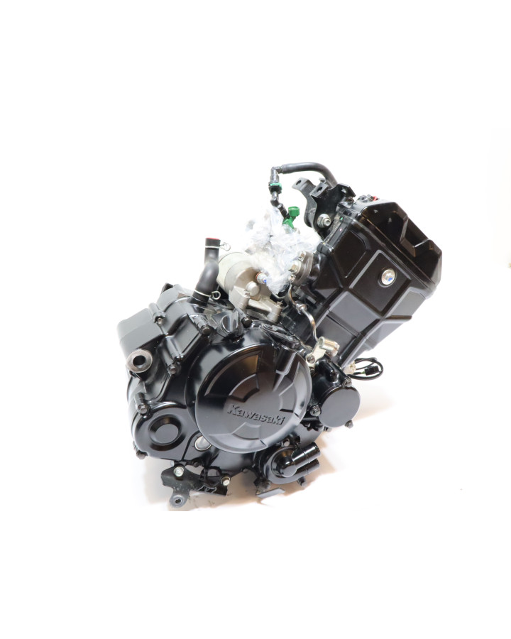 Kawasaki Ninja 125, motor