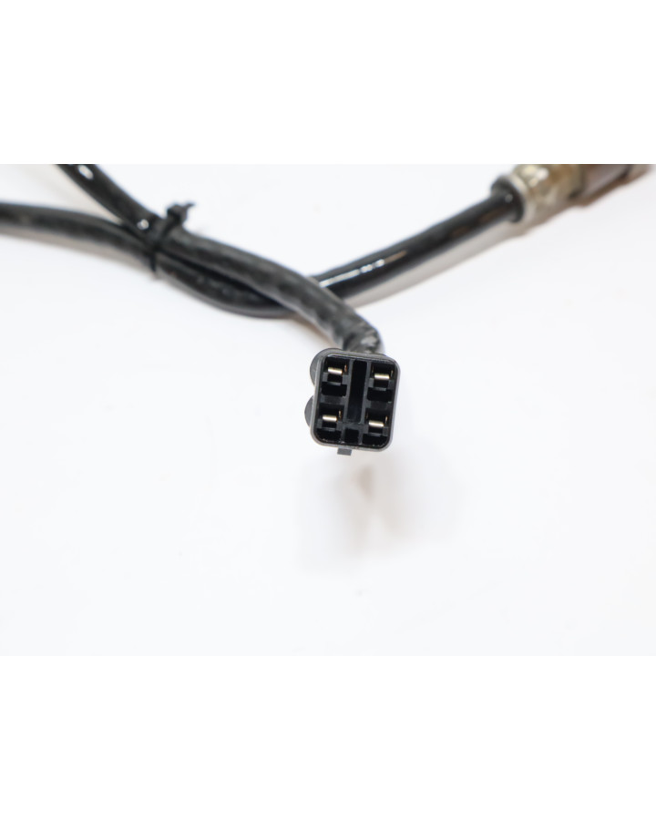 Kawasaki Ninja 125, lambdasond