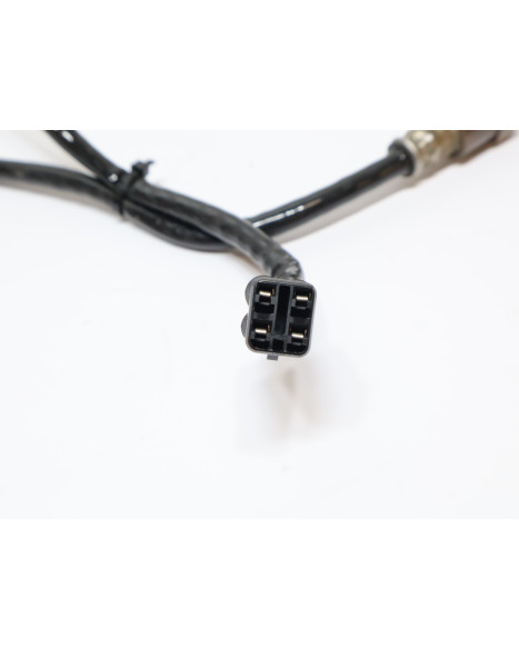 Kawasaki Ninja 125, lambdasond