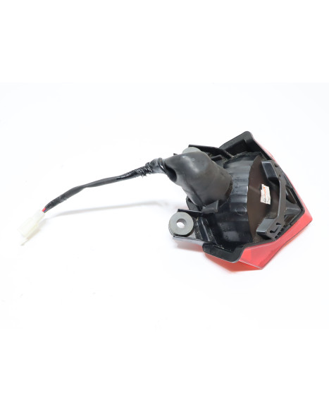 Kawasaki Ninja 125, baklykta