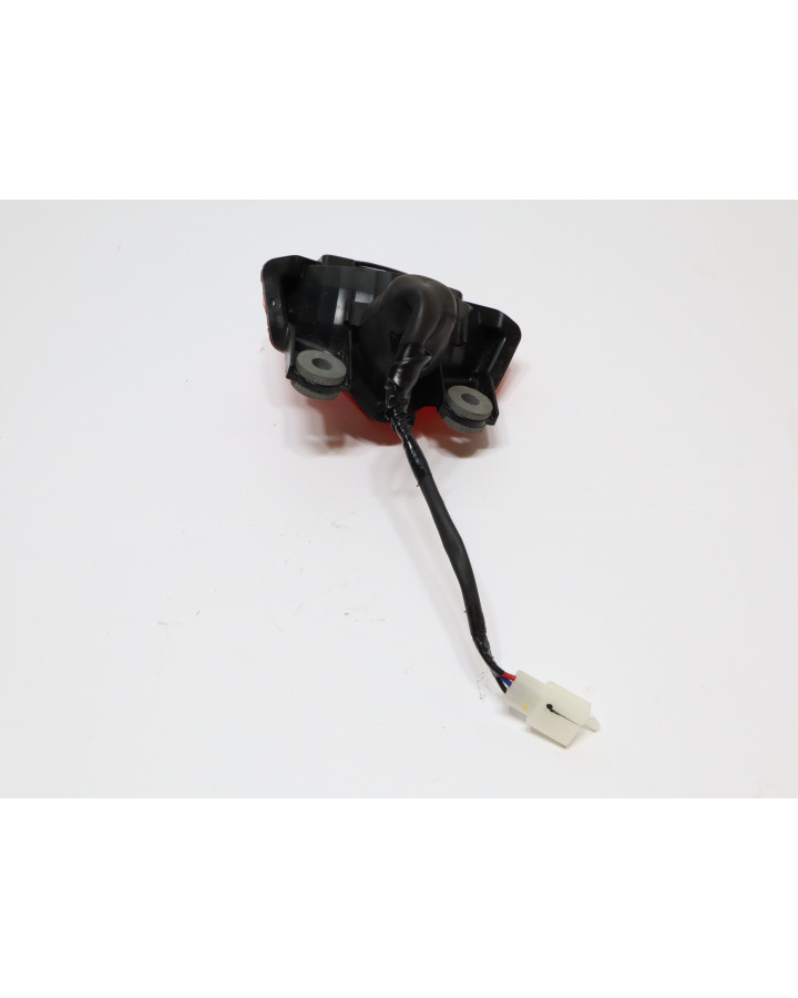 Kawasaki Ninja 125, baklykta