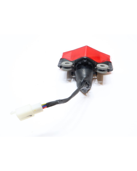 Kawasaki Ninja 125, baklykta