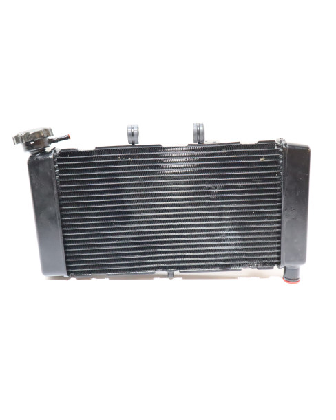 Honda NC750X, kylare 2