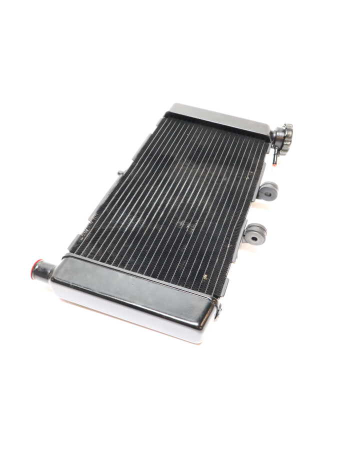 Honda NC750X, kylare