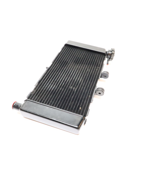 Honda NC750X, kylare